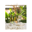 St-Michael---Pinot-Blanc---Riesling---PERON-MAIO-2023---IMGP0367