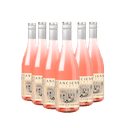 0277949---kit-6-Anciens-Temps-Rosé-2021