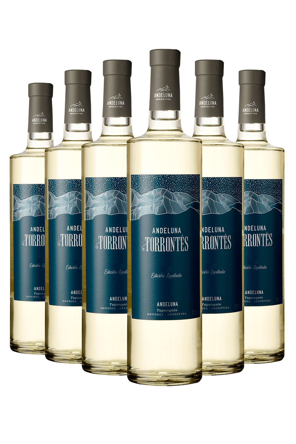 kit-6-Andeluna-Torrontes.png