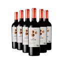 026218---kit-6-Odfjell-LAs-Abejas-Gran-Reserva-Cabernet-Sauvignon