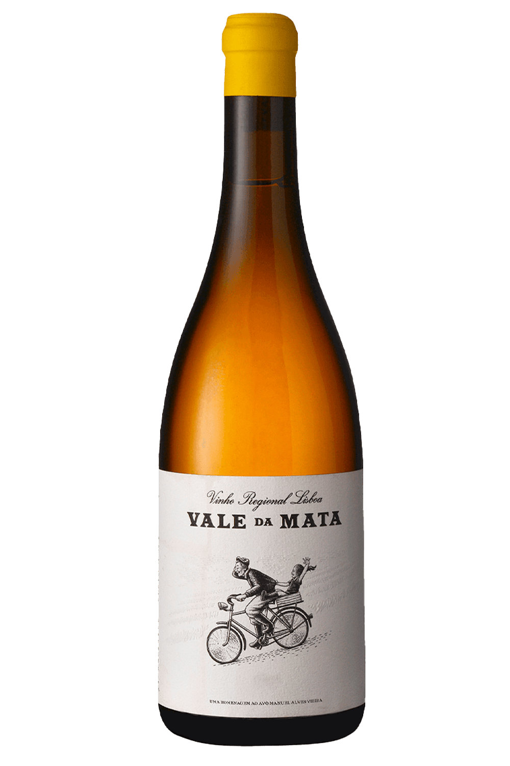 023207---Herdade-do-Rocim-Vale-da-Mata-Branco