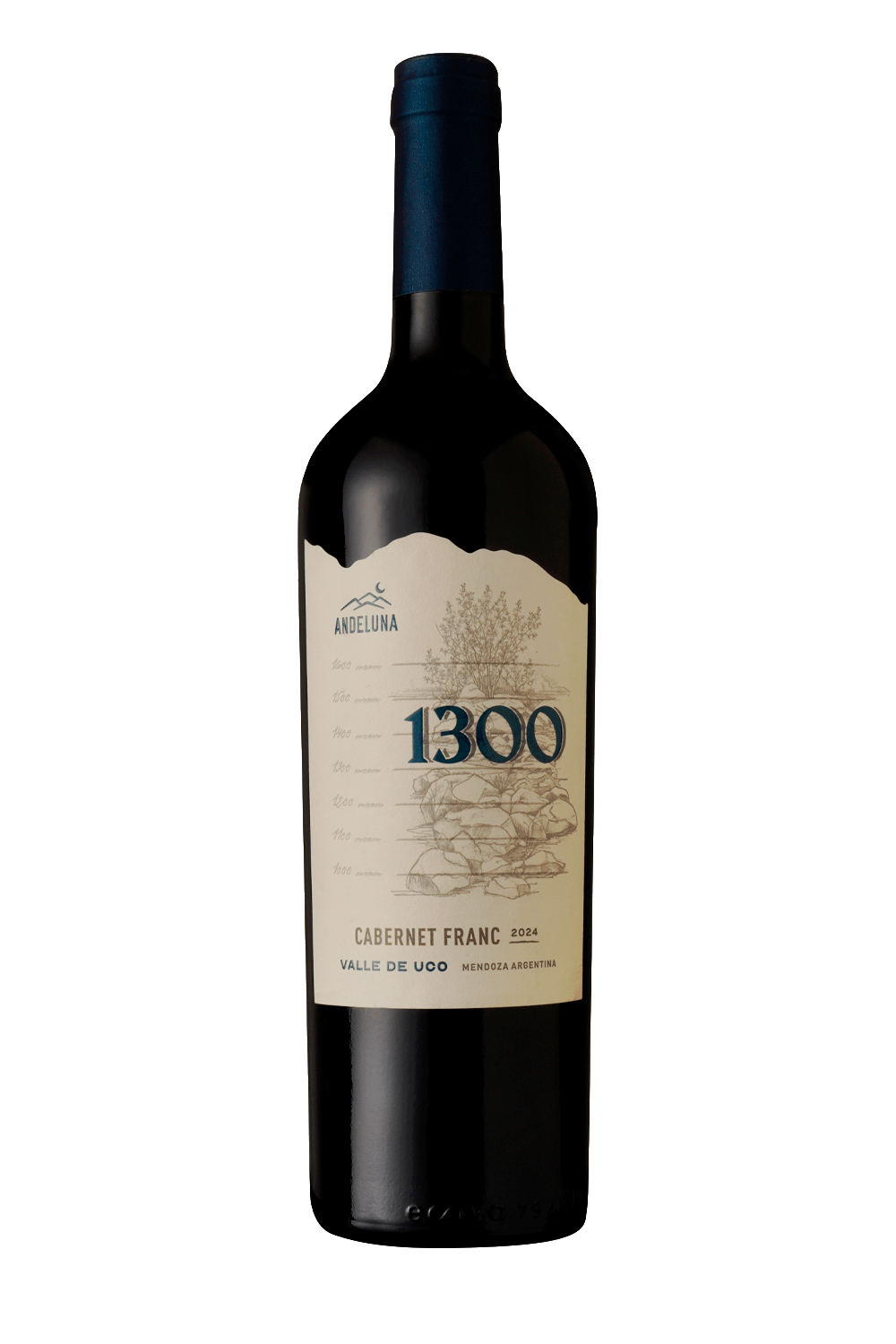 100193-VIN-AR-ANDELUNA-TT-1300-CAB-FRANC-750